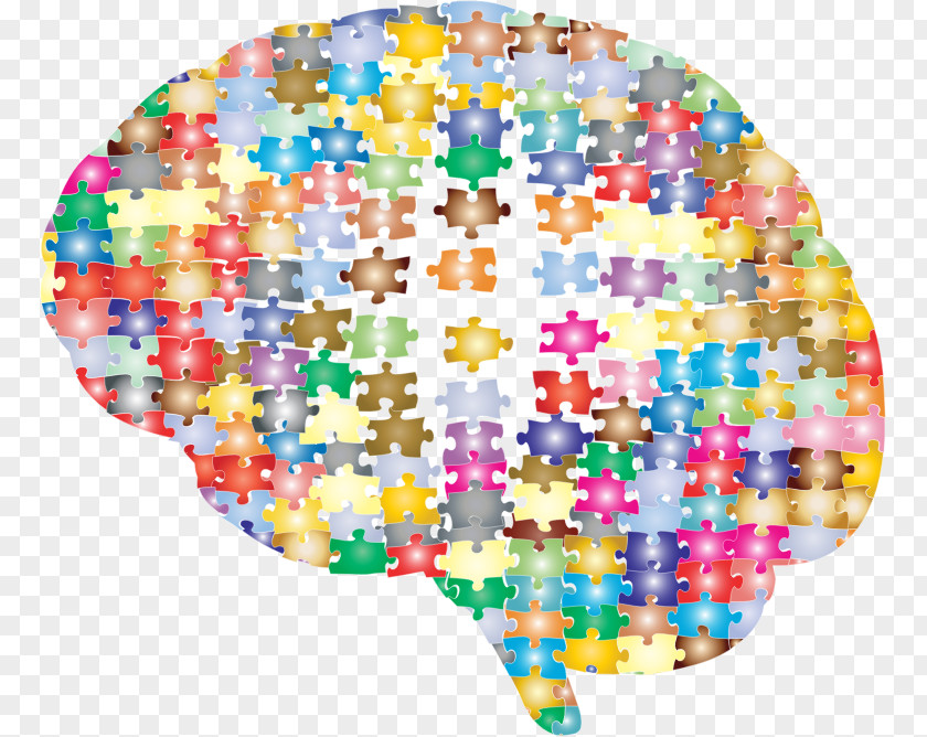 Brain Jigsaw Puzzles Mapping Cerebral Cortex PNG