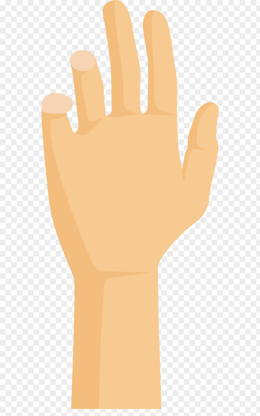 Cartoon Hand Gesture Thumb Model Illustration PNG