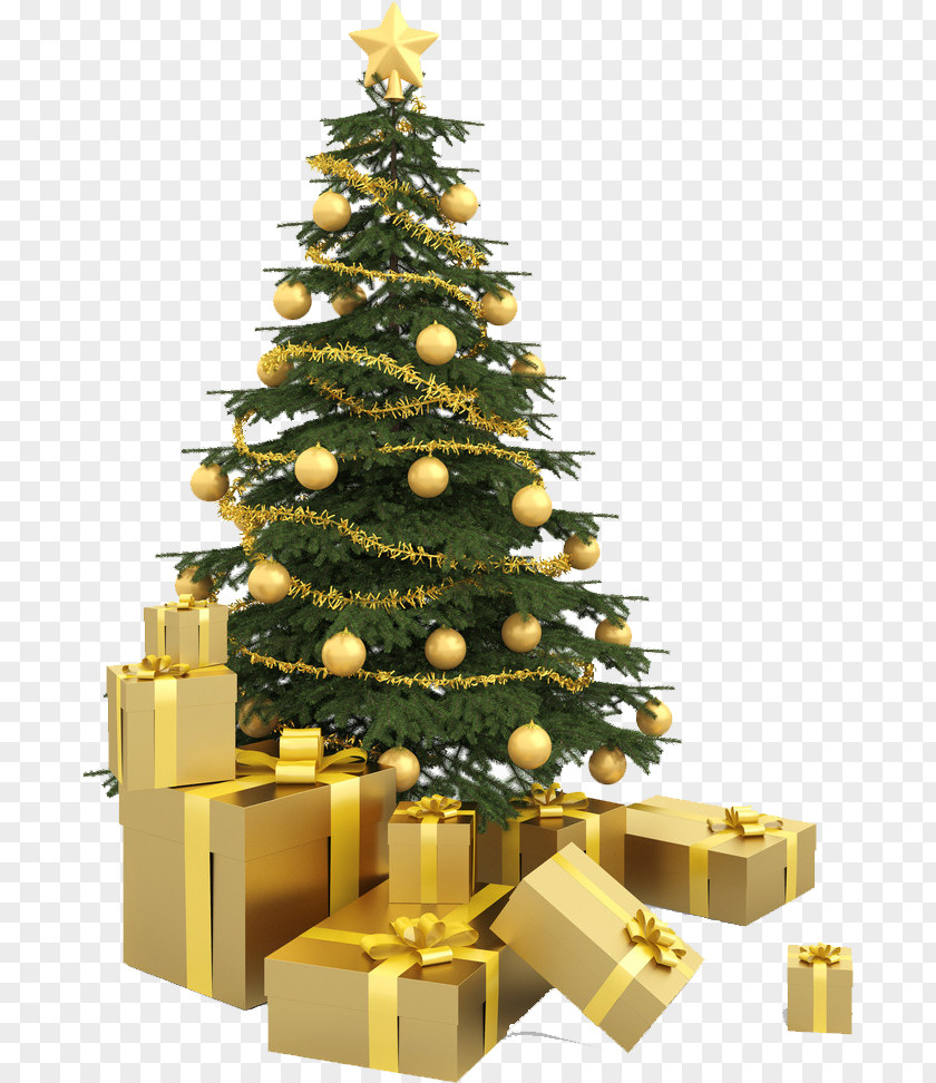 Christmas Tree Stock Photography Santa Claus PNG