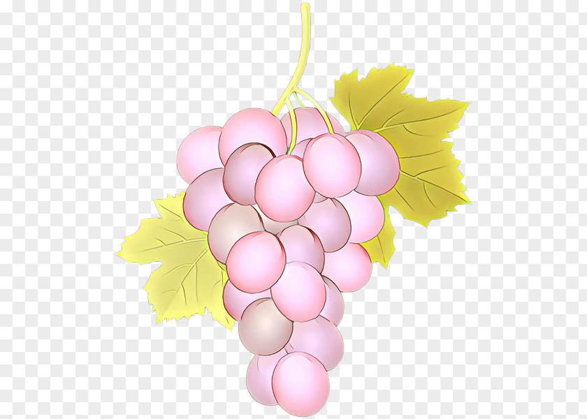 Grape Grapevine Family Pink Vitis Seedless Fruit PNG