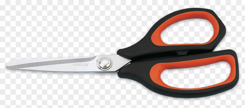 Knife Arcos Scissors Kitchen Utensil PNG