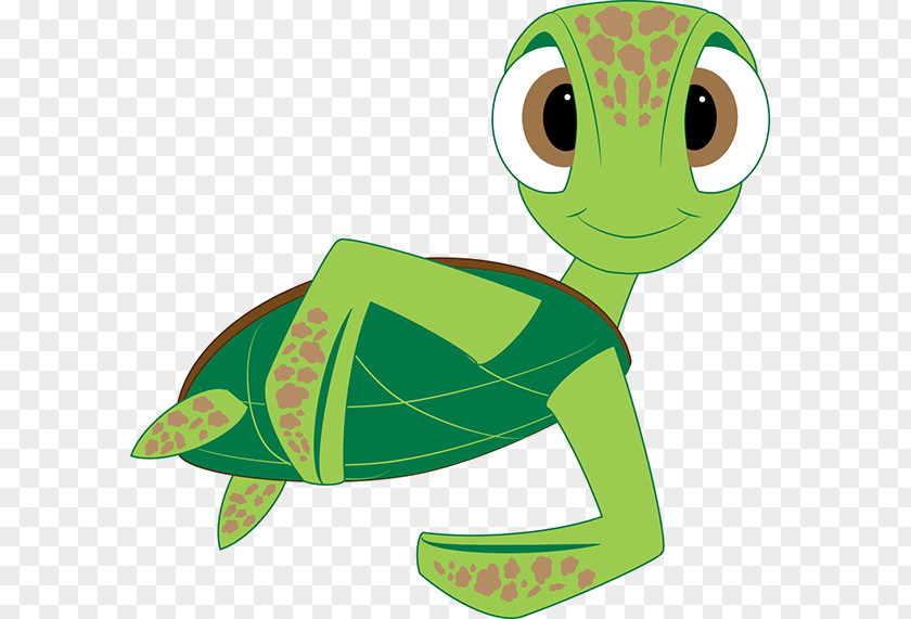 Turtle Model Sheet Tree Frog PNG