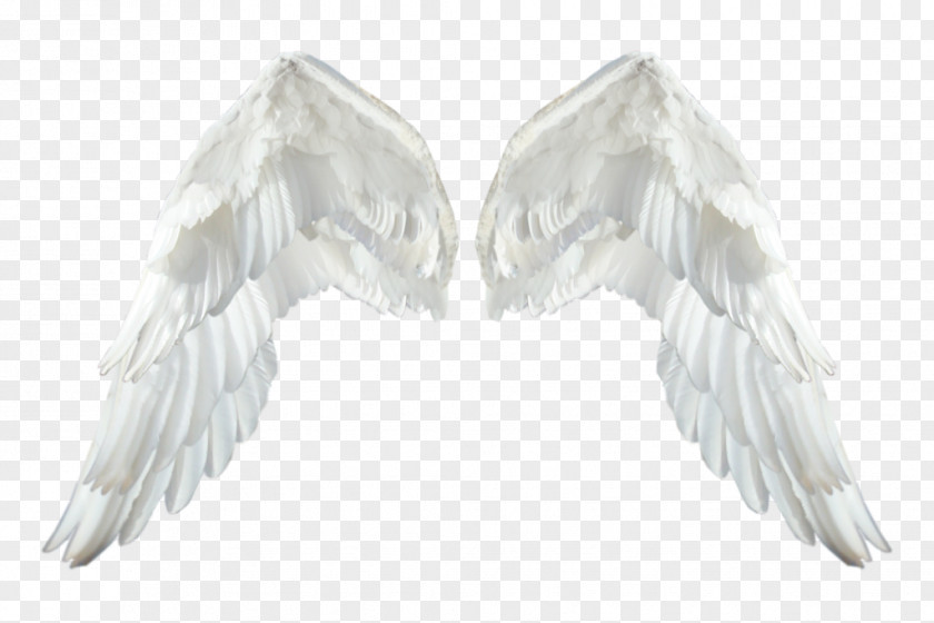 White Angel Wings DeviantArt Neck Download PNG