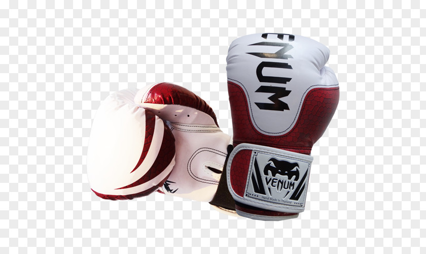 Boxing Protective Gear In Sports Glove Venum PNG