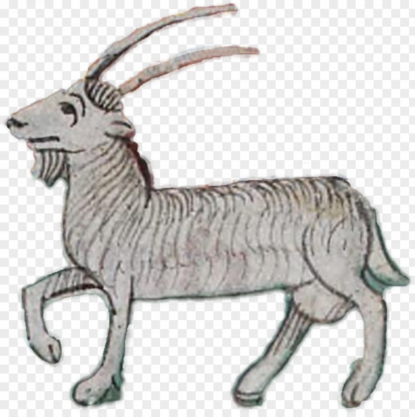 Capricorn Goat Deer Antelope Caprinae Clip Art PNG