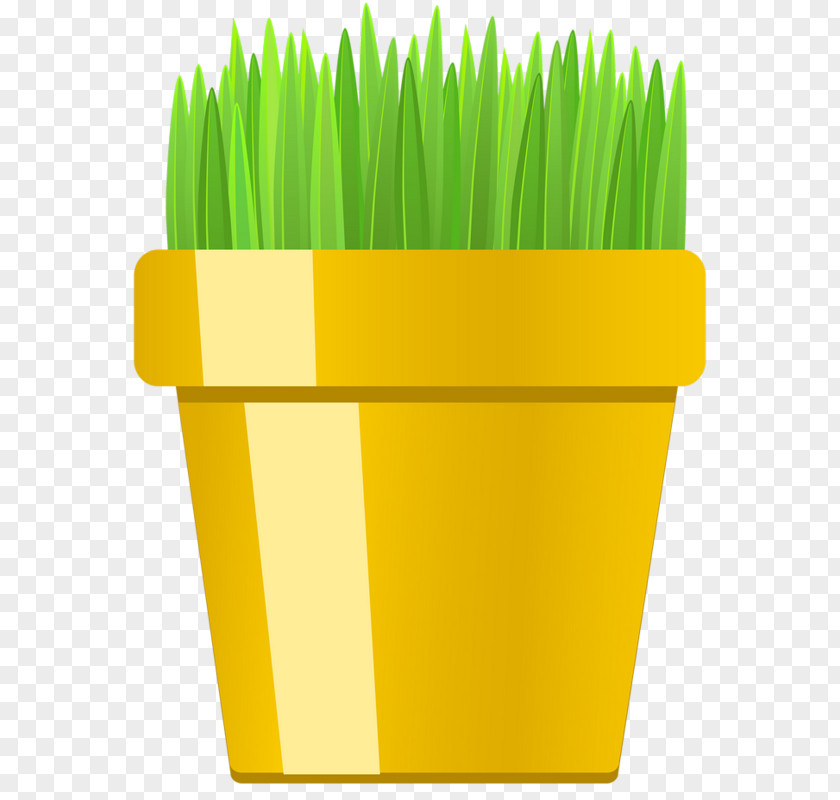 Green Grass Free Innovation Icon PNG