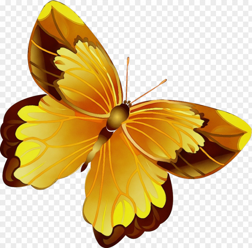 Monarch Butterfly PNG