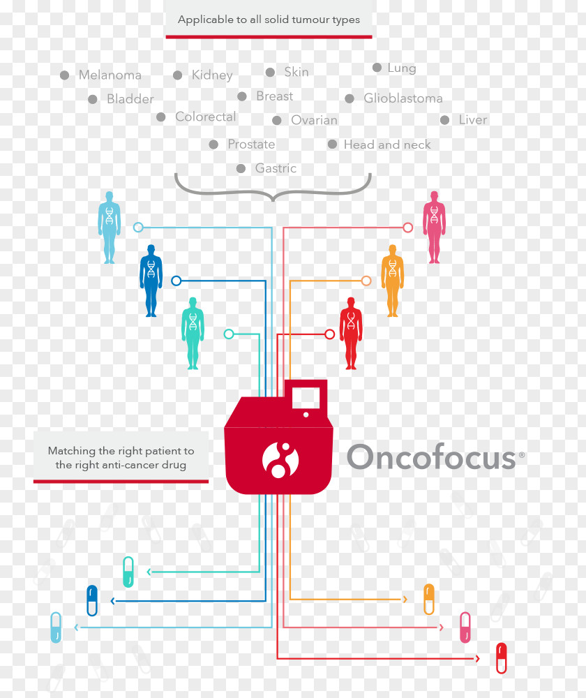 Prevent Cancer Oncology Targeted Therapy Treatment Of Screening PNG