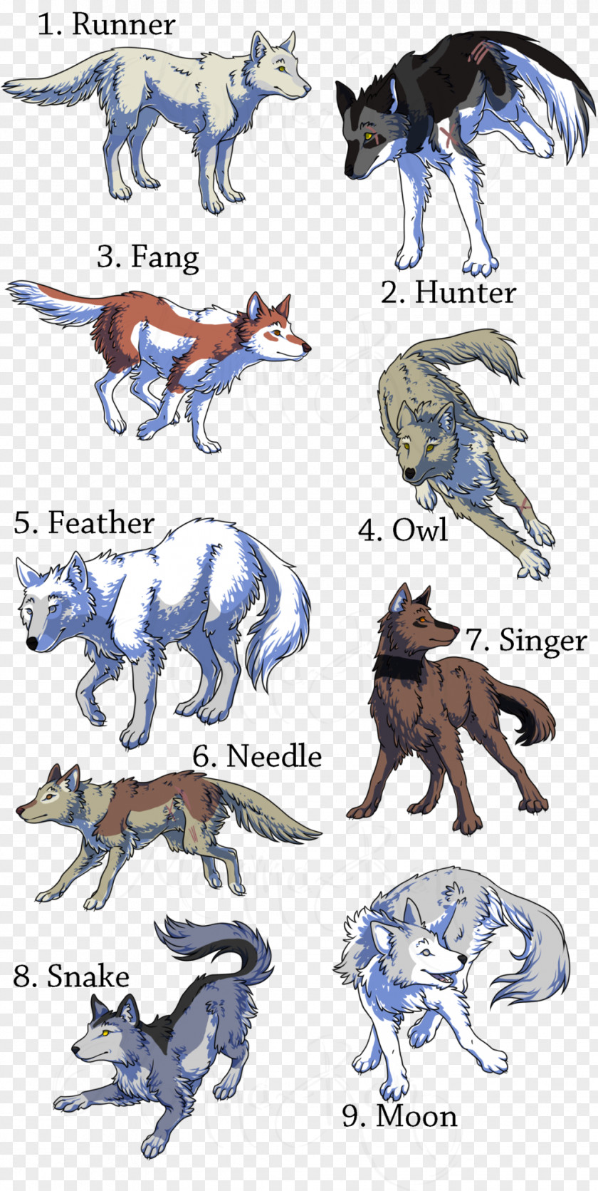 Wolf Pack Canidae Dog Wolfpack Mammal PNG