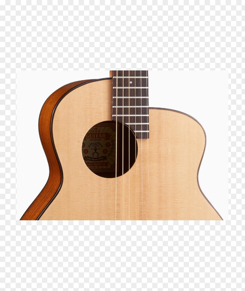 Acoustic Guitar Acoustic-electric Bass Tiple Cuatro PNG