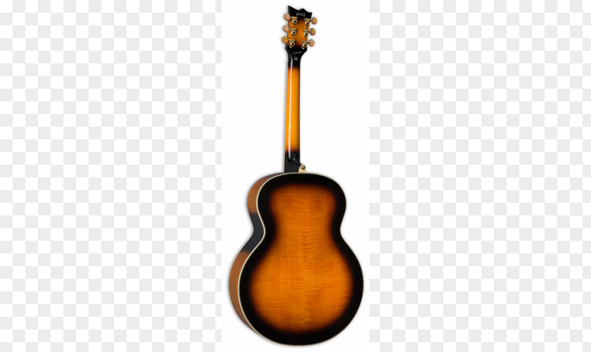Acoustic Guitar Tiple Cavaquinho Cuatro Ukulele PNG