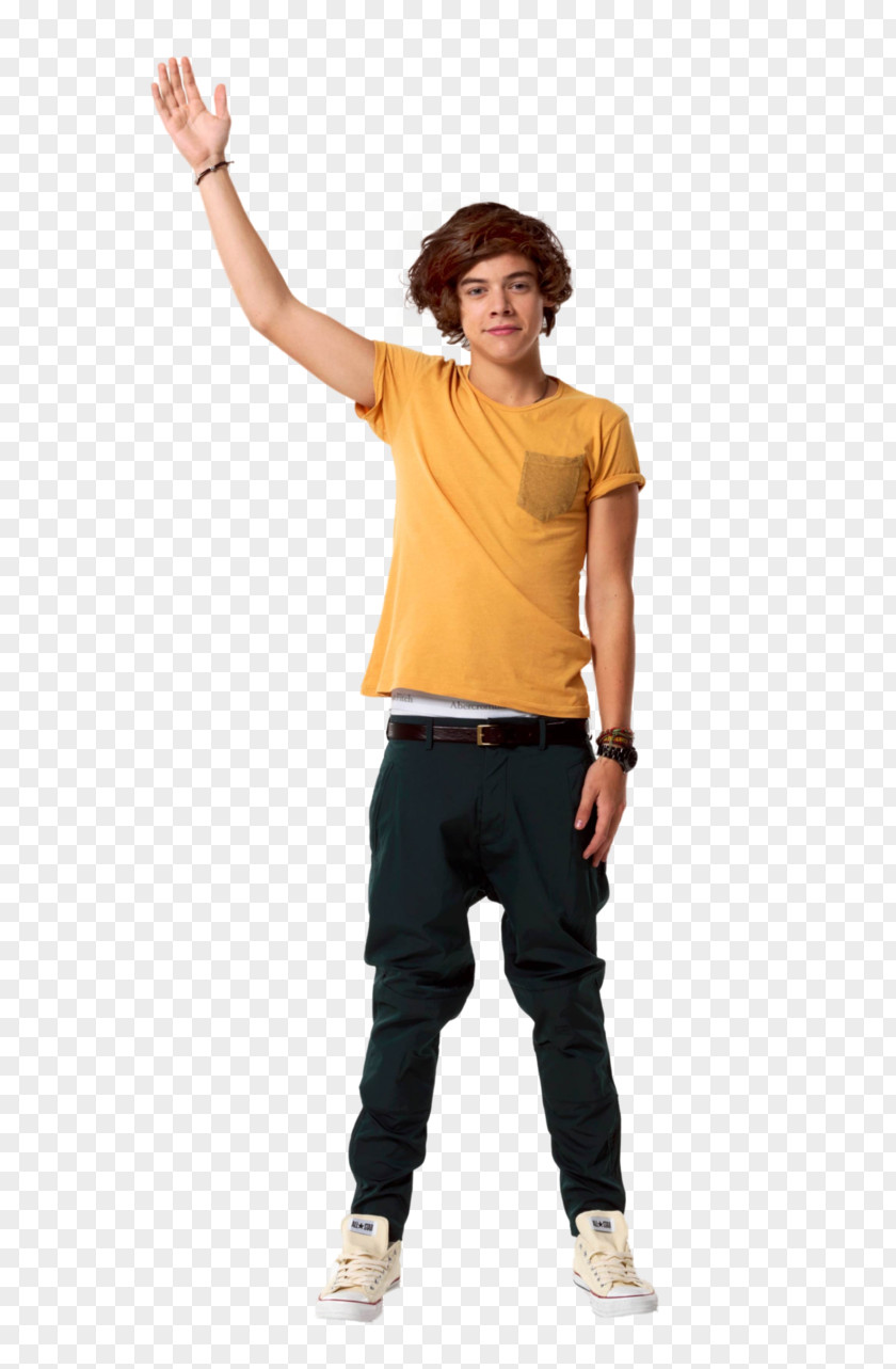 Body Harry Styles Potter And The Half-Blood Prince One Direction PNG