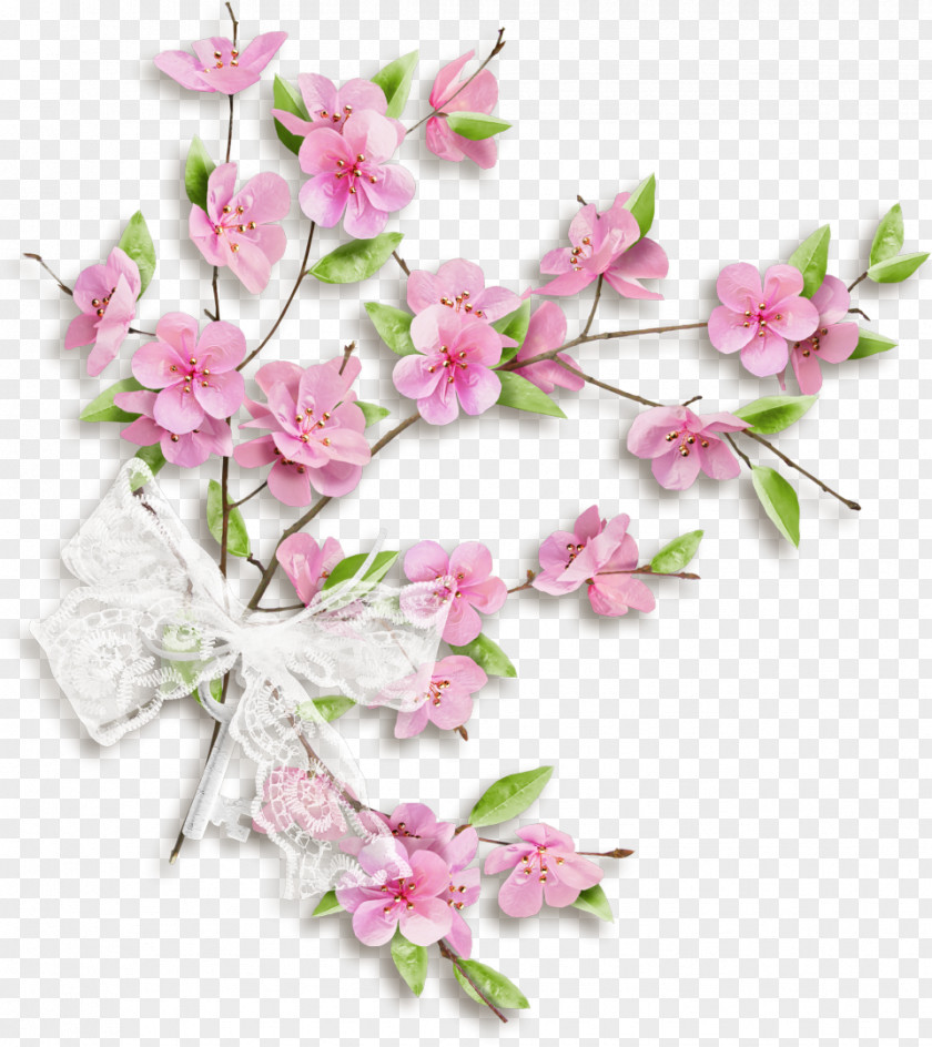 Cherry Blossom Cut Flowers Floral Design Petal PNG