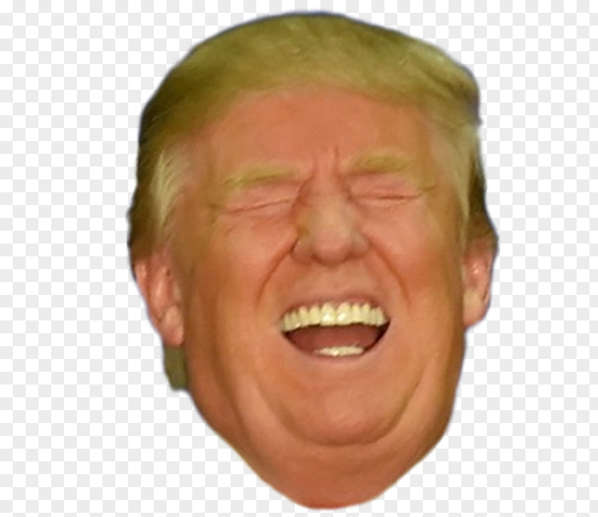 Donald Trump Chin President Of The United States Make America Great Again Cheek PNG
