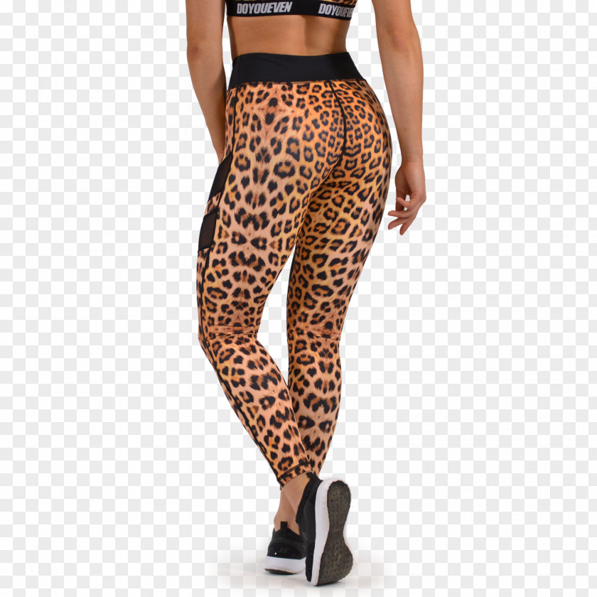 Leopard Leggings Cheetah Animal Print Tights PNG