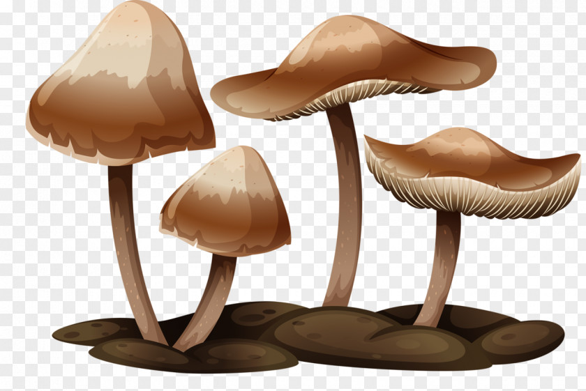 Mushroom Gilled Mushrooms Royalty-free PNG