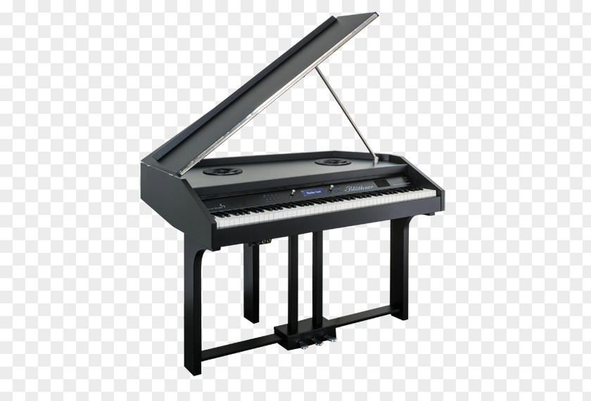 Piano Digital Electric Electronic Keyboard Player Pianet PNG