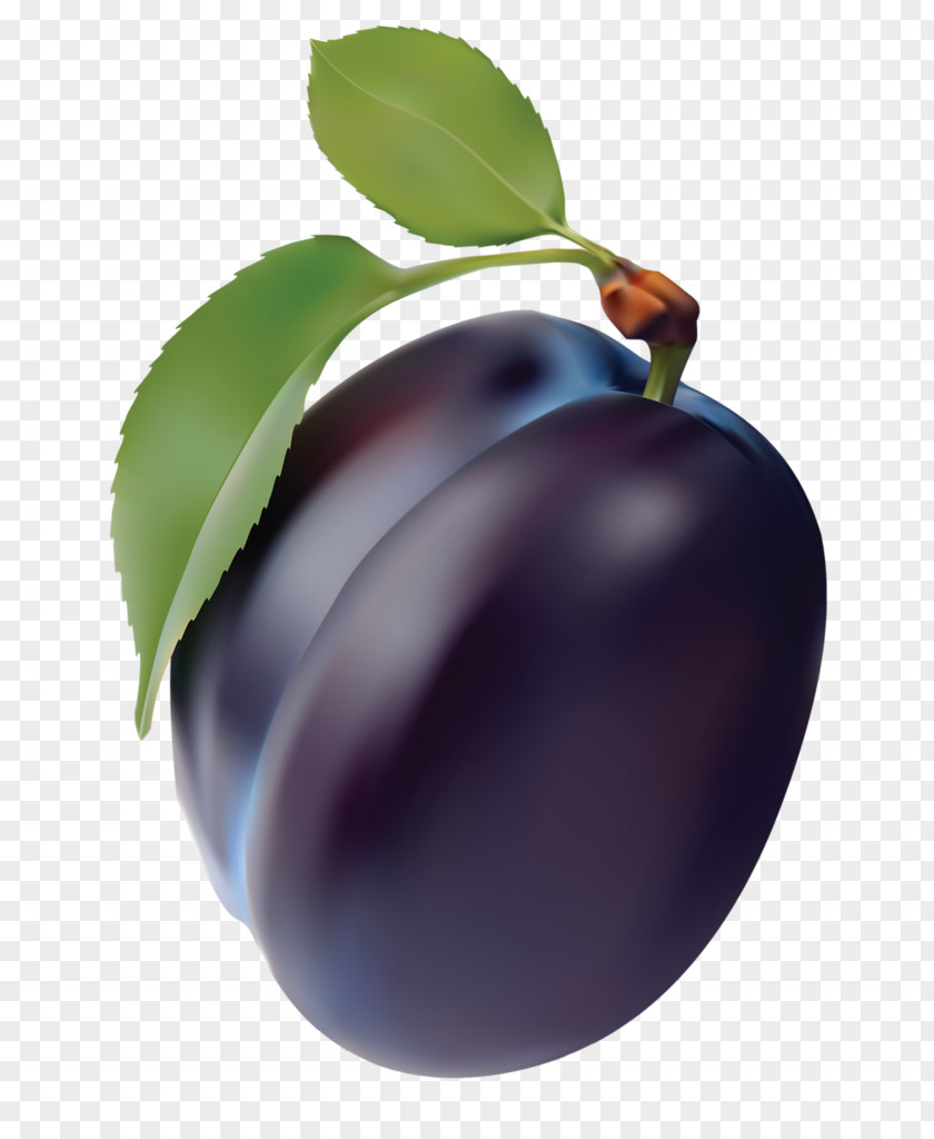 Purple Plum PNG