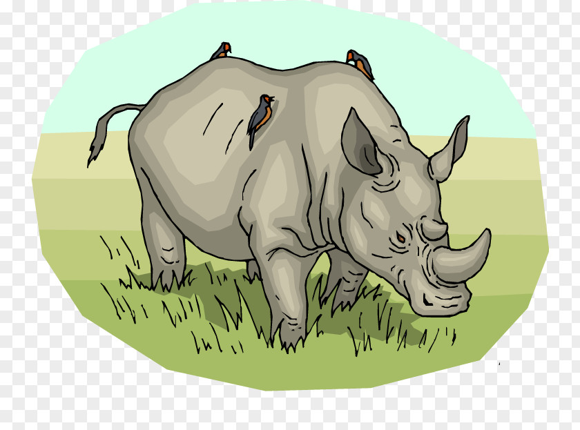 Green Rhino Cliparts Northern White Rhinoceros Pig Horn Clip Art PNG