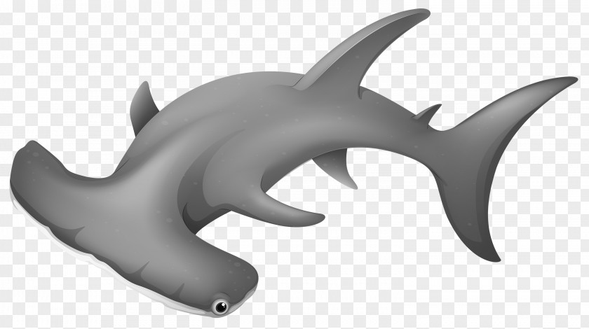 Sharks Hammerhead Shark Clip Art PNG