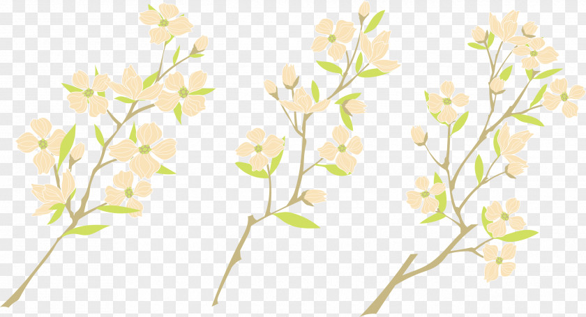 Watercolor Plum Blossom Painting PNG