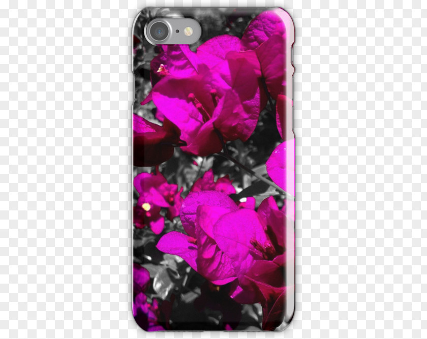 Bougainvillea Pink M Mobile Phone Accessories Phones IPhone PNG