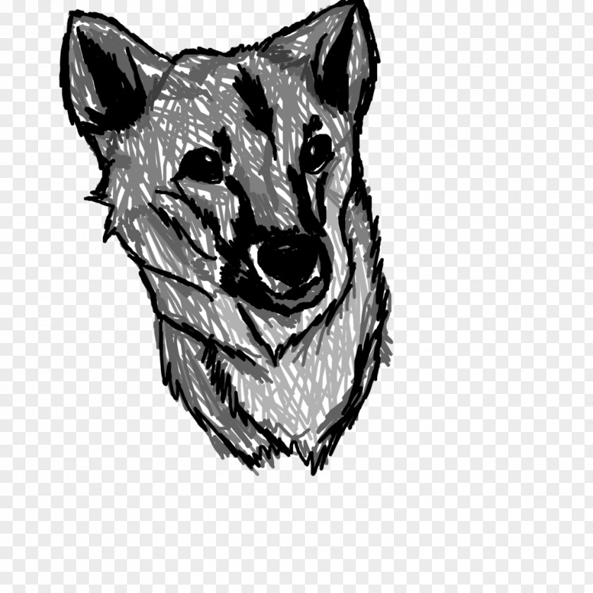 Cat Whiskers Dog Canidae Sketch PNG