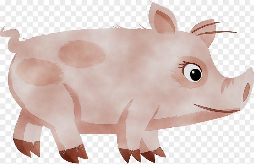 Clip Art Co Pig Taihu Livestock PNG