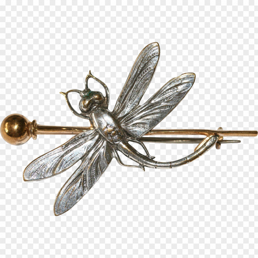 Dragonfly Insect Jewellery Brooch Clothing Accessories Invertebrate PNG