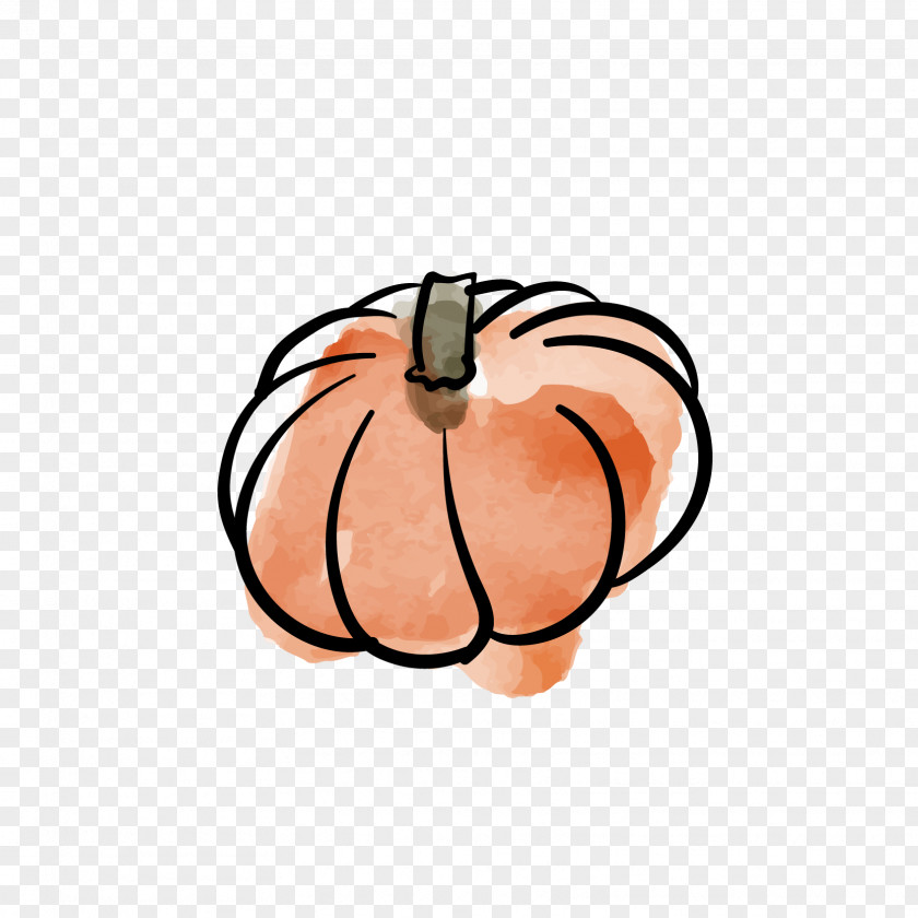 Pumpkin Calabaza Vegetable Watercolor Painting Illustration PNG