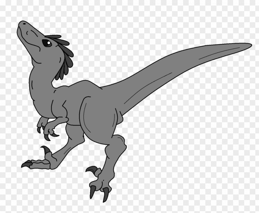 T Rex Velociraptor Tyrannosaurus Utahraptor Dinosaur Spinosaurus PNG