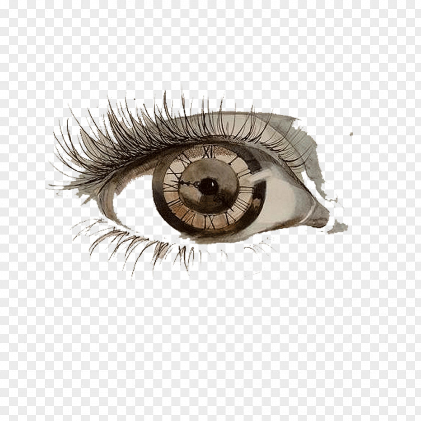 United States Pupil Eyes Wearing Brown Curly Eyelashes Drawing Eye Painting Art Sketch PNG