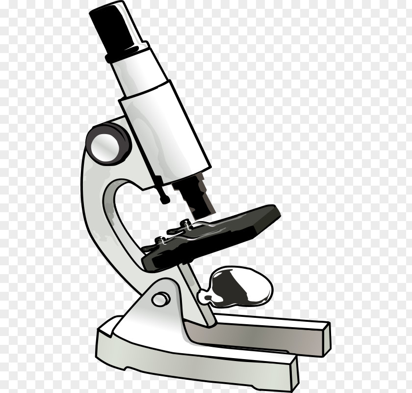 Biology Cliparts Microscope Clip Art PNG