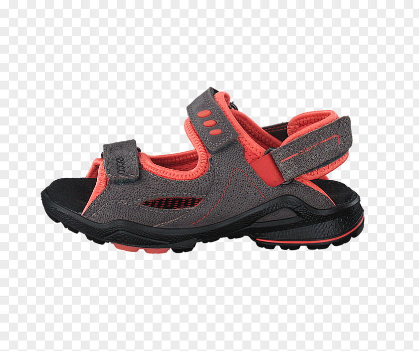 Blush Sandals Slipper Sandal ECCO Shoe Mule PNG