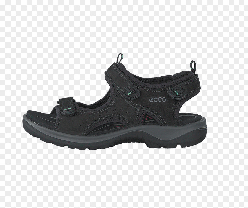 Ecco Shoes For Women Shoe Sandal ECCO Clothing Footwear PNG