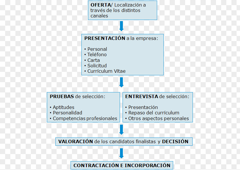 Educação Job Hunting Employment Labor Organization Web Page PNG