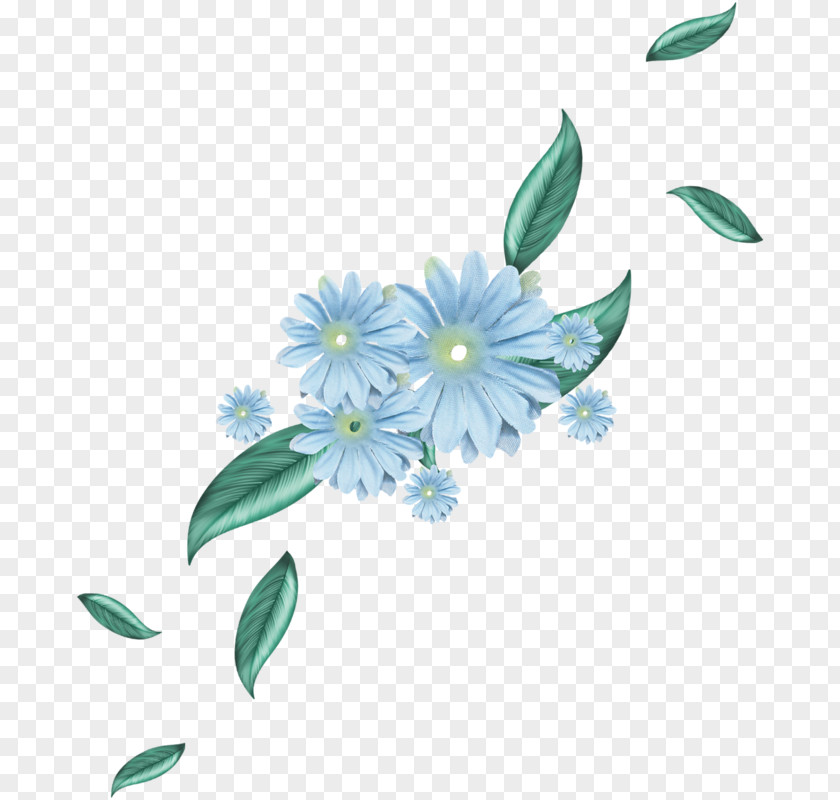 Flower Petal Floral Design Leaf Plant Stem PNG