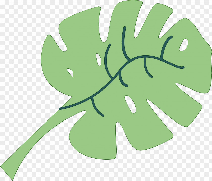 Leaf Plant Stem Flower Green M-tree PNG