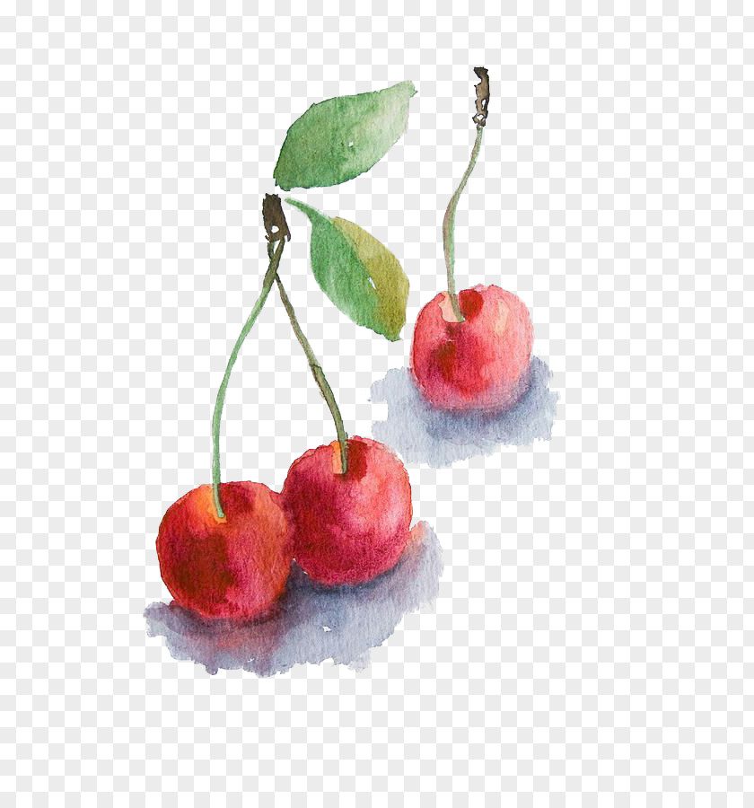 Watercolor Cherry Clafoutis Painting Drawing PNG