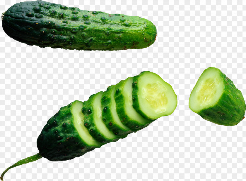 Cucumber Clip Art PNG