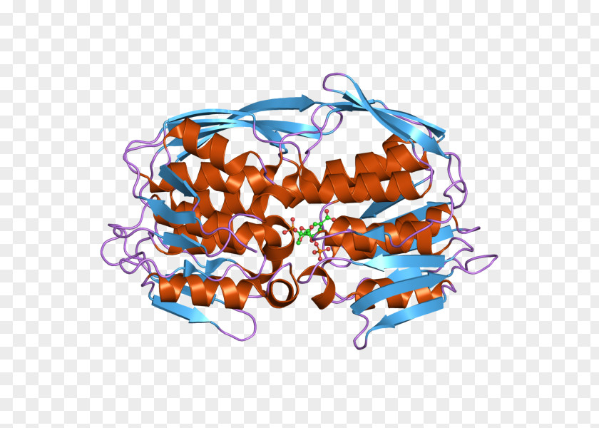 EPSP Synthase Tyrosine Kinase Transferase Enzyme PNG