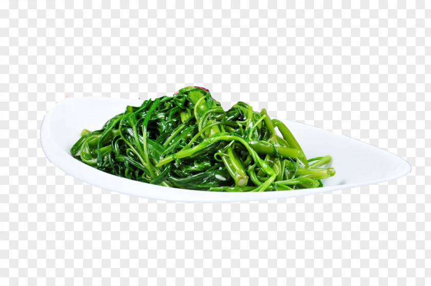 Garlic Spinach Water Stir Frying Namul PNG