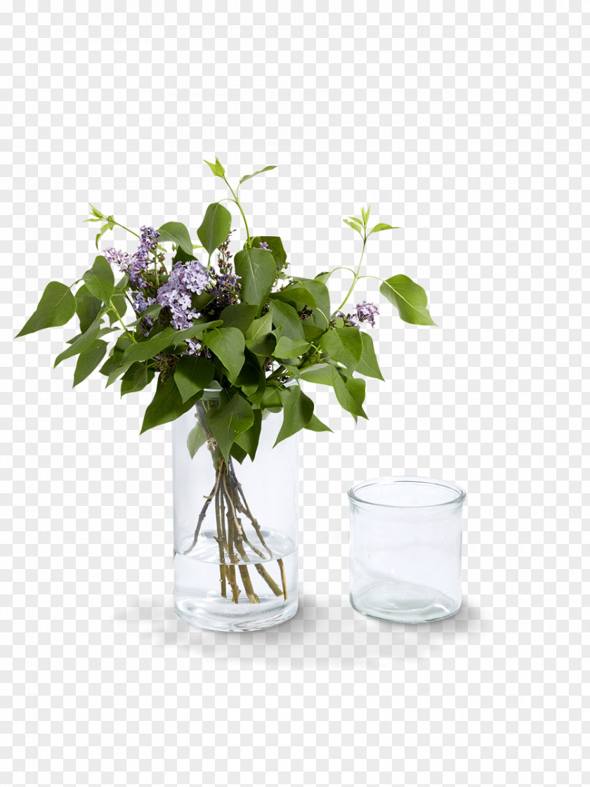 Transparent Vase Glass Cut Flowers Floral Design France PNG