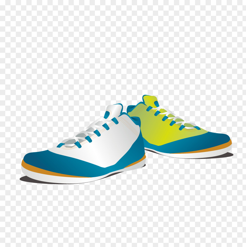 Vector Shoes Sneakers Skate Shoe PNG