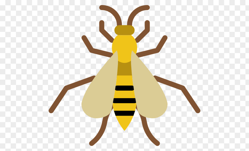 Wasp Insect Bee PNG