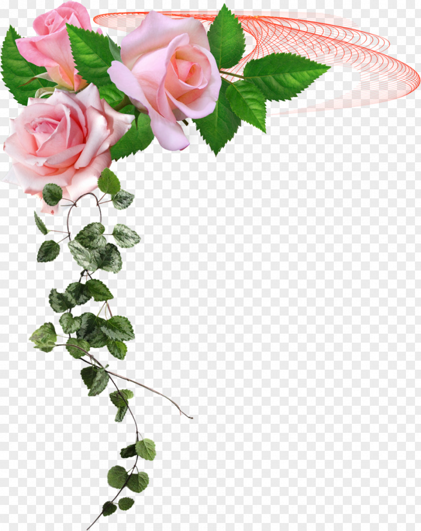 Flower Garden Roses Floral Design Cut Flowers PNG