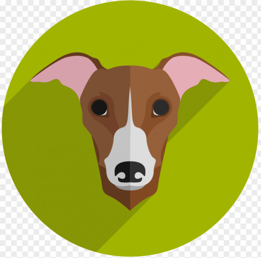 Italian Greyhound Whippet Puppy Dog Breed PNG
