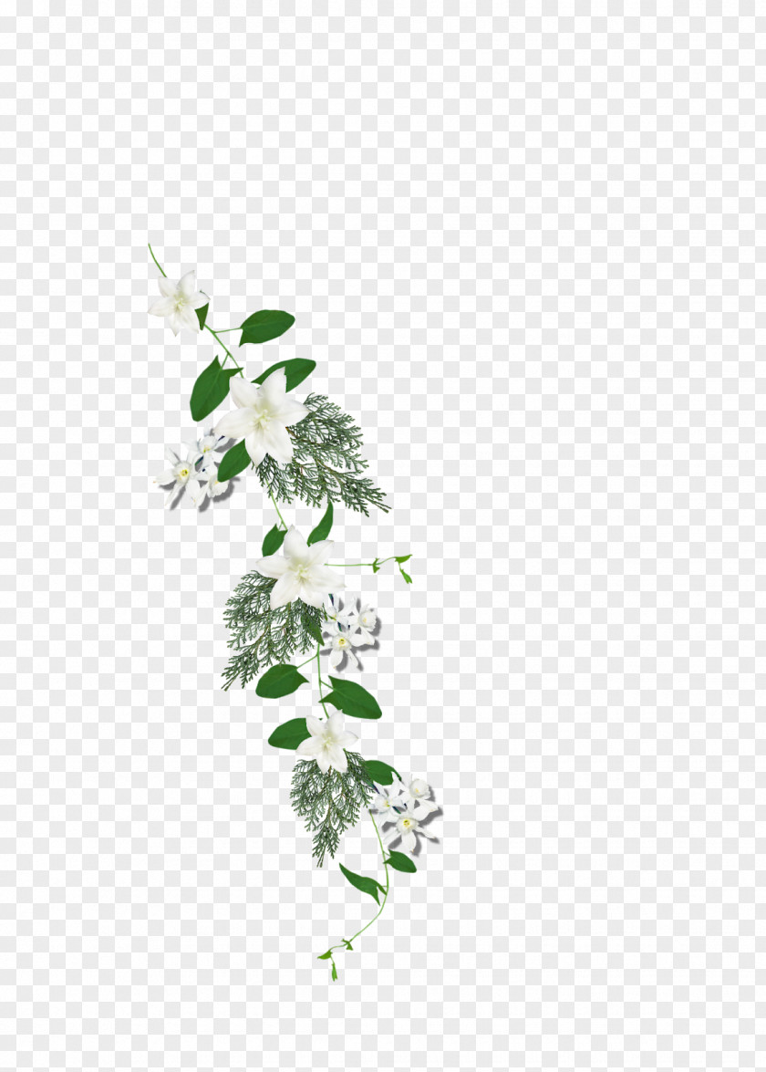 Leaf Twig Floral Design Cut Flowers Plant Stem PNG