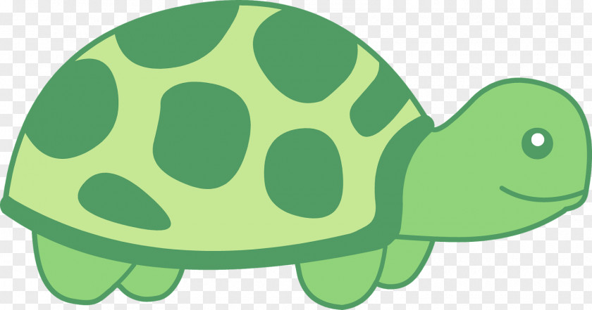 Turtle Sea Reptile Clip Art PNG