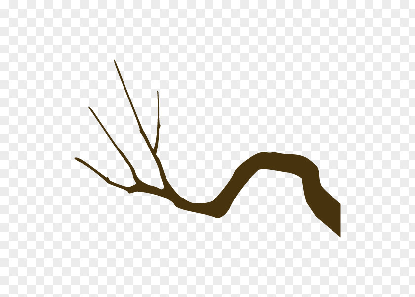 Twig Line Angle Clip Art Plant Stem PNG